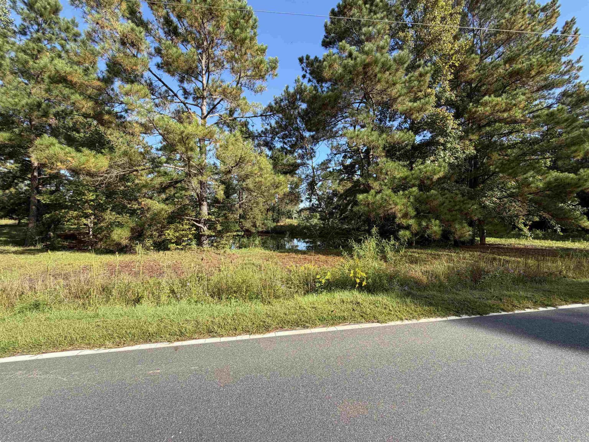 Tract 2 Wise Rd., Conway, SC 29526 Main Photo