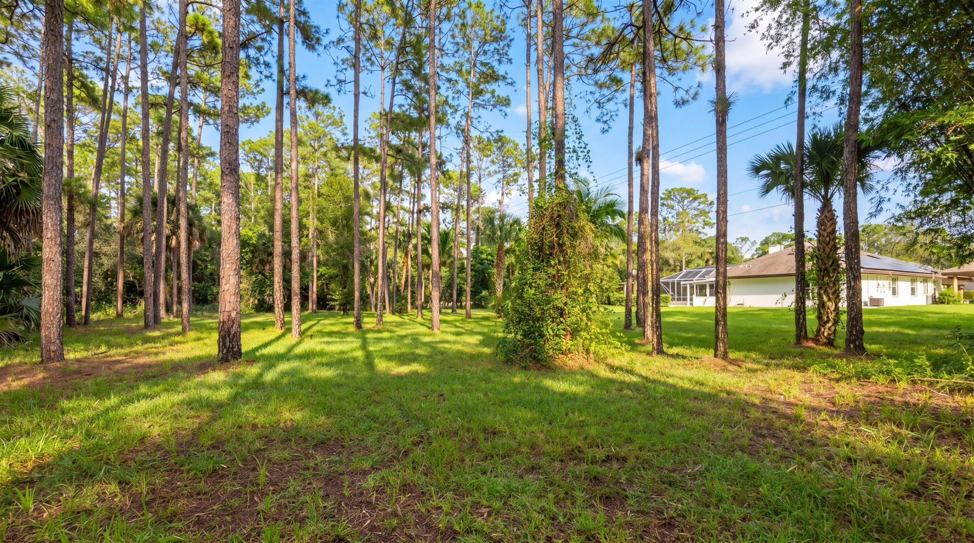 14816 Stirrup Lane, Wellington, FL 33414 Photo