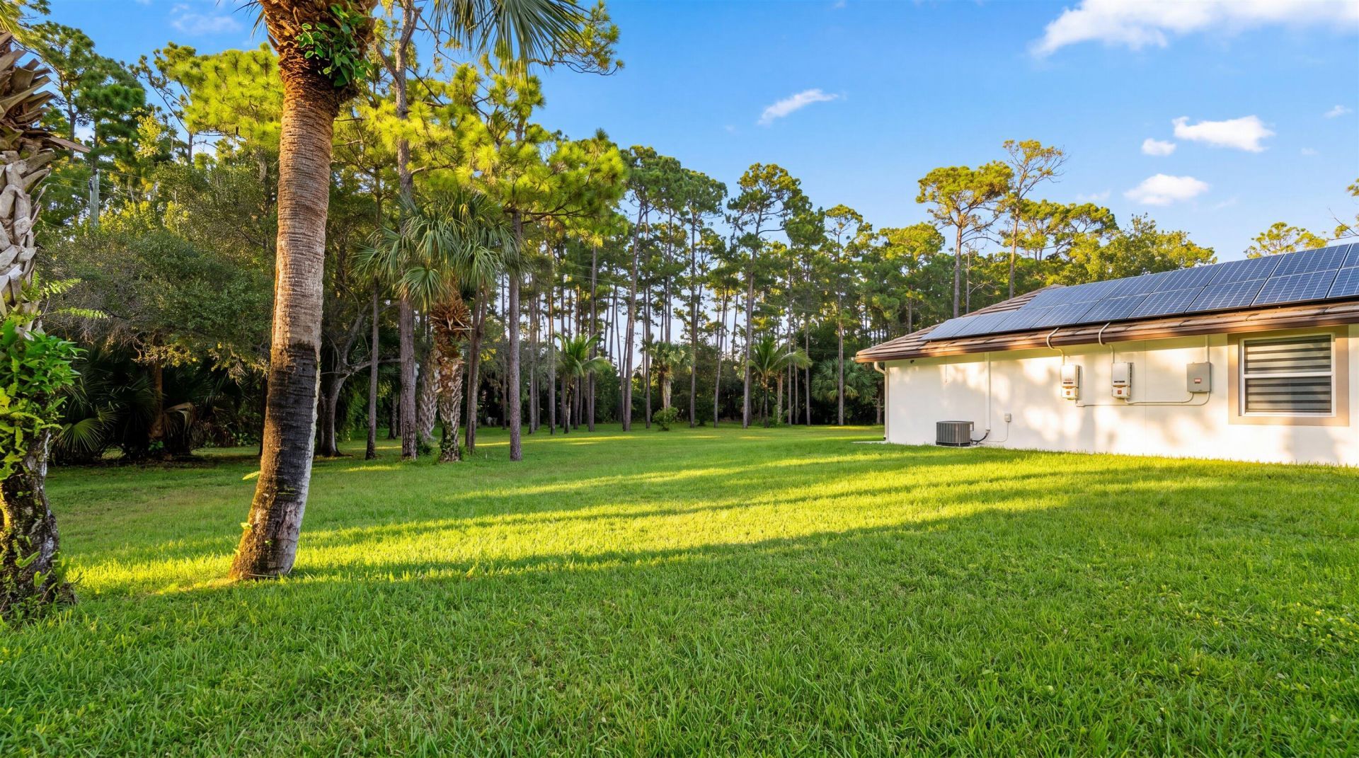 14816 Stirrup Lane, Wellington, FL 33414 Photo