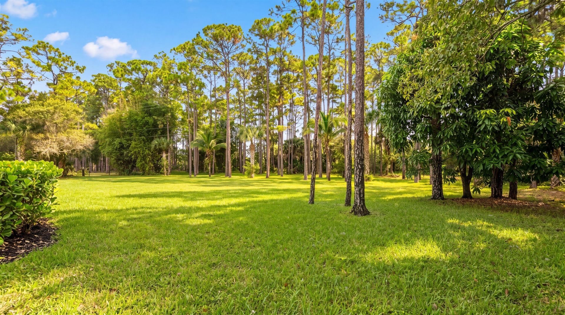 14816 Stirrup Lane, Wellington, FL 33414 Photo