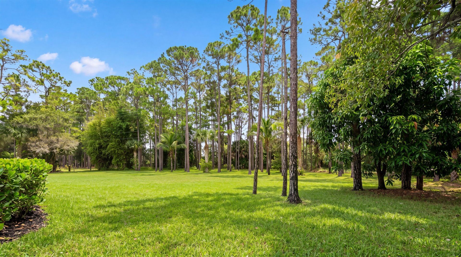 14816 Stirrup Lane, Wellington, FL 33414 Photo