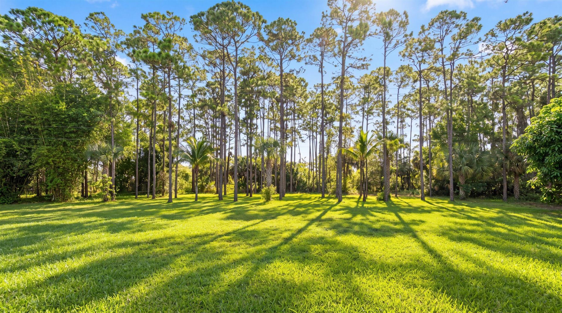 14816 Stirrup Lane, Wellington, FL 33414 Photo