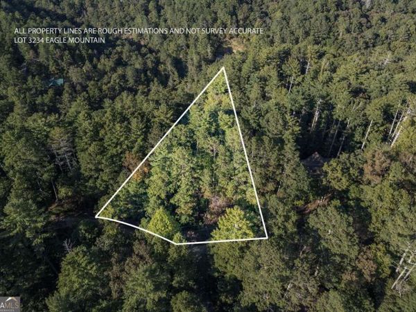 LOT 3234 Eagle Mountain, Ellijay, GA 30536