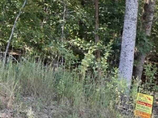 0 Hopkins Lane , Unit 85, Winchester, TN 37398