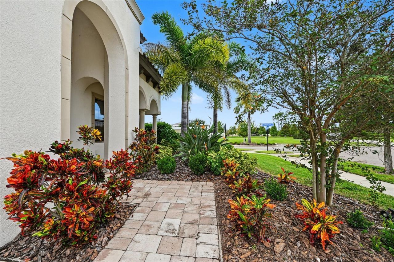 11978 Climbing Fern Avenue, Riverview, FL 33579 Photo