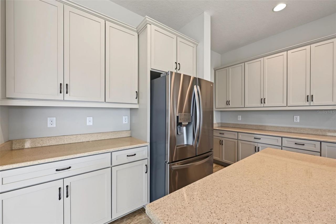 11978 Climbing Fern Avenue, Riverview, FL 33579 Photo