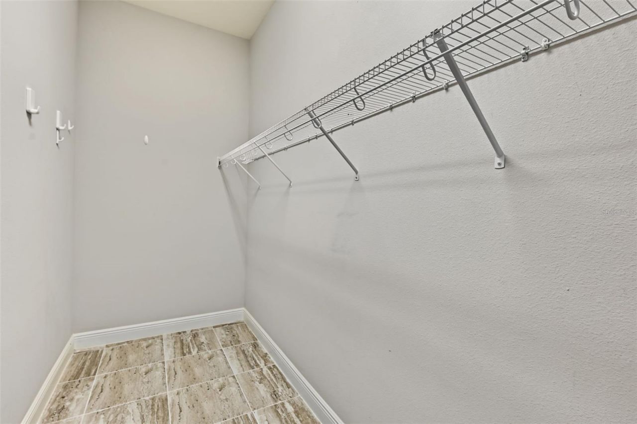 11978 Climbing Fern Avenue, Riverview, FL 33579 Photo