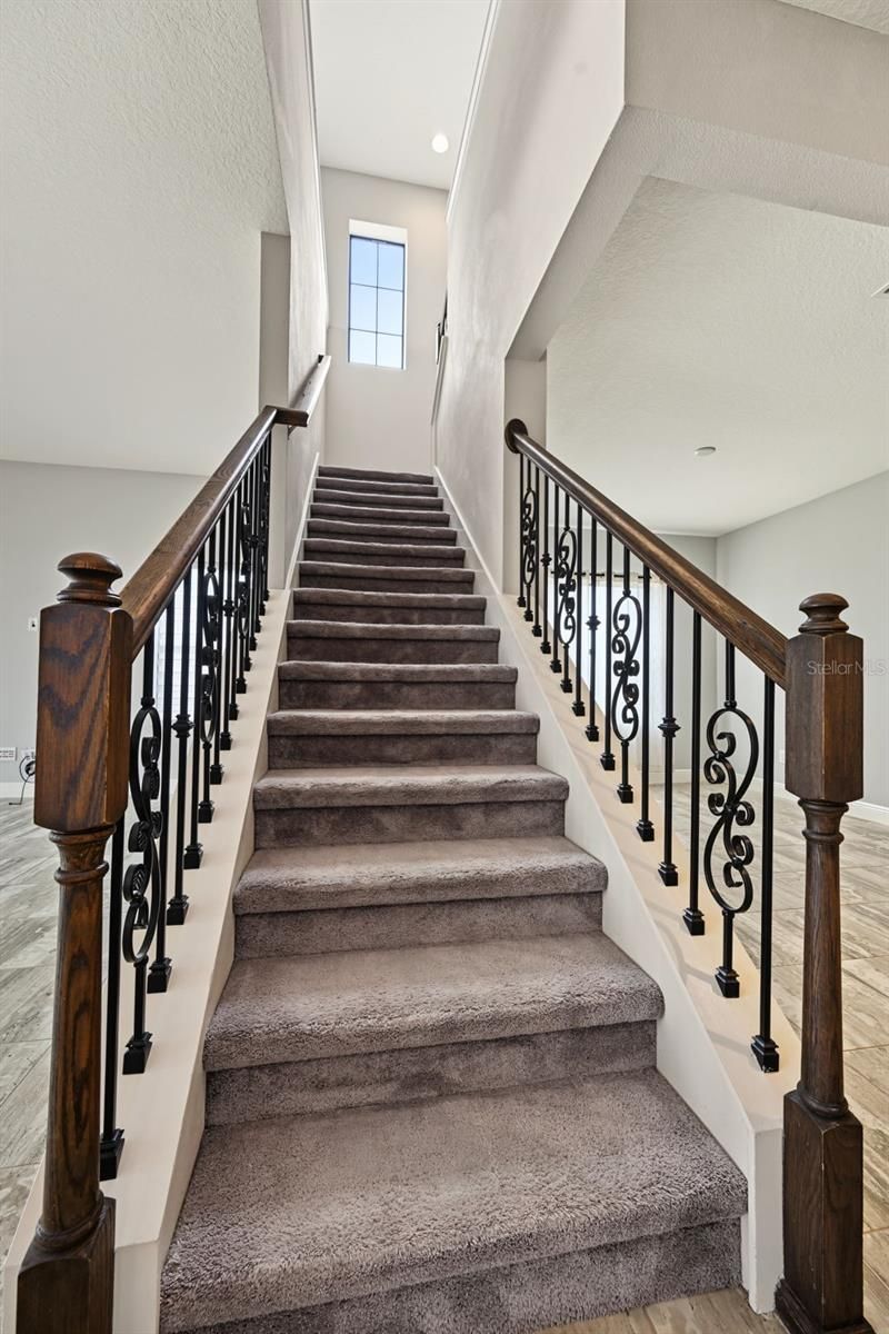 11978 Climbing Fern Avenue, Riverview, FL 33579 Photo