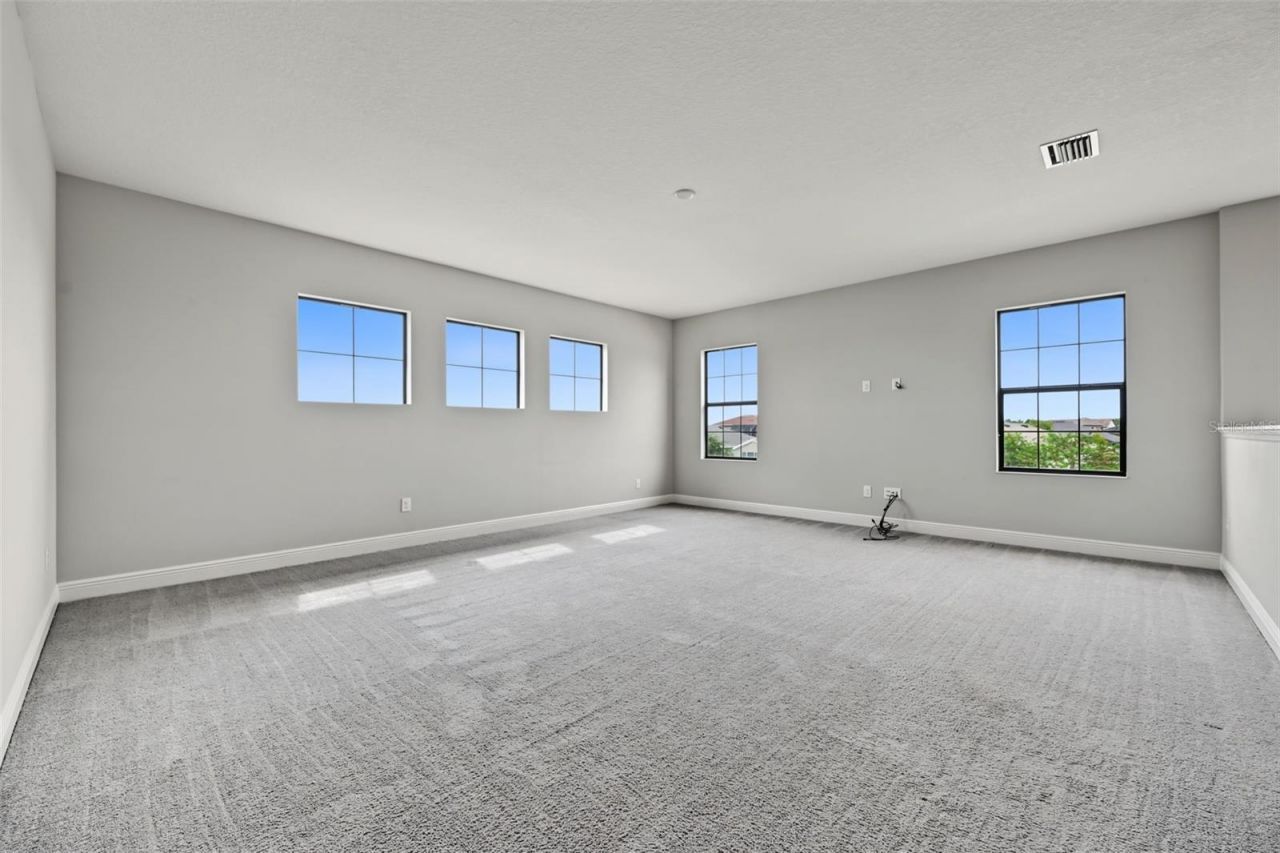 11978 Climbing Fern Avenue, Riverview, FL 33579 Photo