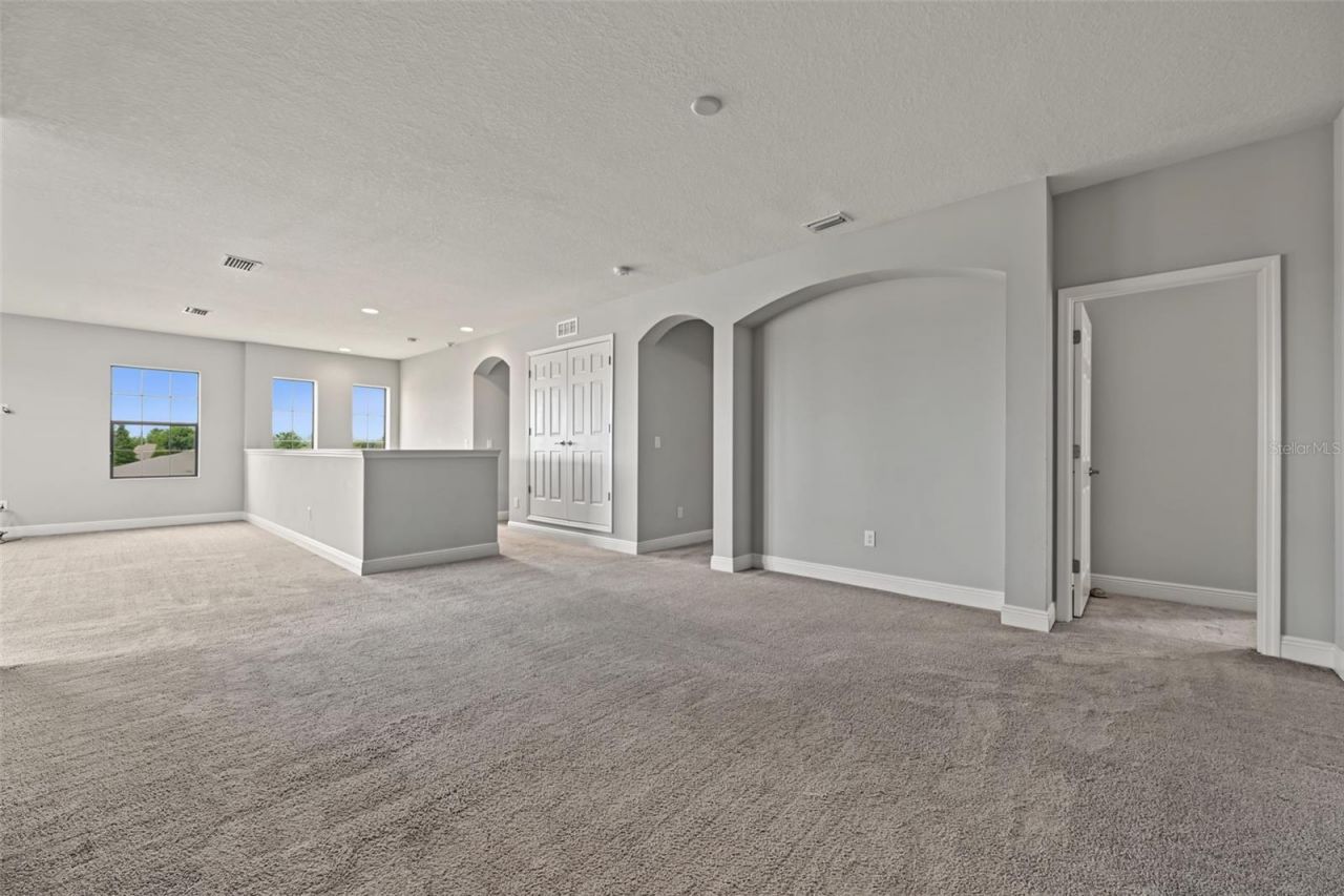 11978 Climbing Fern Avenue, Riverview, FL 33579 Photo