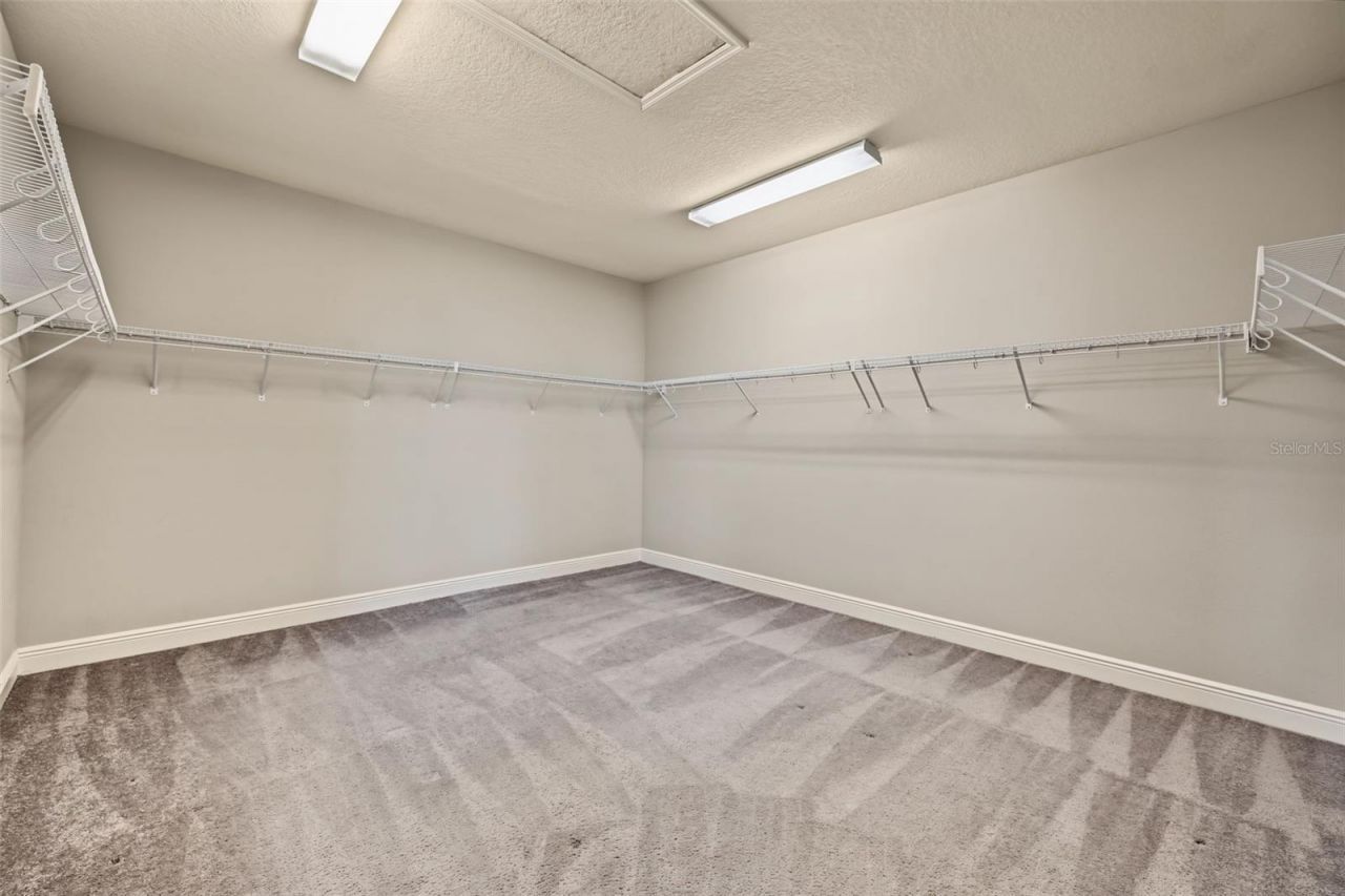 11978 Climbing Fern Avenue, Riverview, FL 33579 Photo