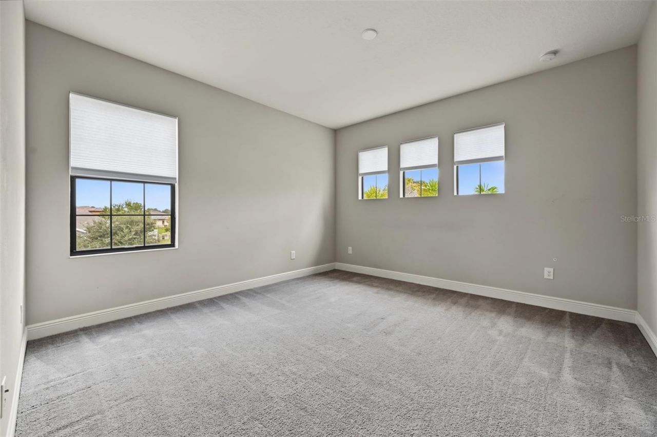 11978 Climbing Fern Avenue, Riverview, FL 33579 Photo