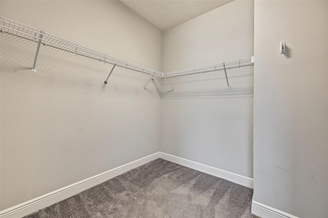 11978 Climbing Fern Avenue, Riverview, FL 33579 Photo