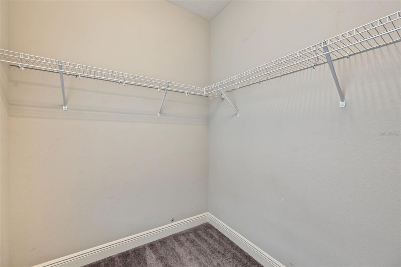 11978 Climbing Fern Avenue, Riverview, FL 33579 Photo