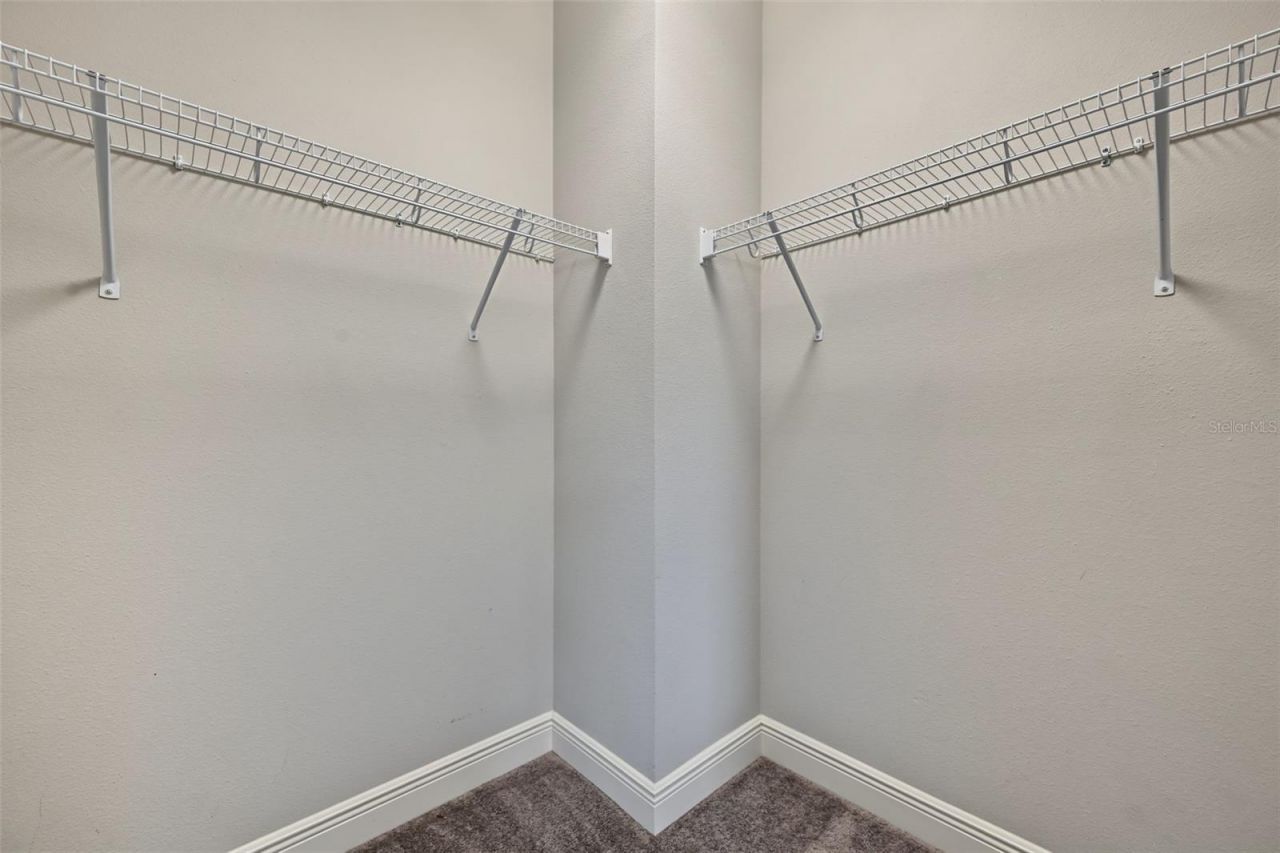 11978 Climbing Fern Avenue, Riverview, FL 33579 Photo