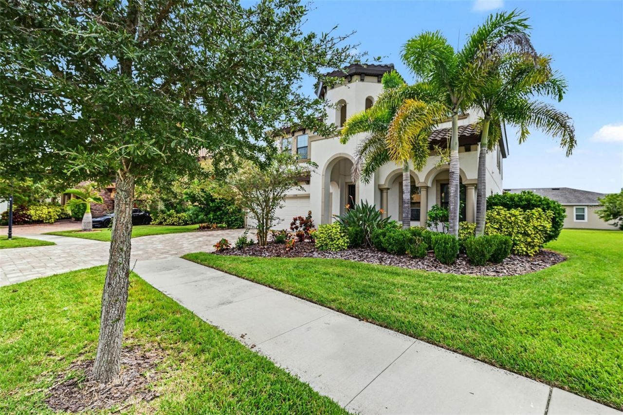 11978 Climbing Fern Avenue, Riverview, FL 33579 Photo