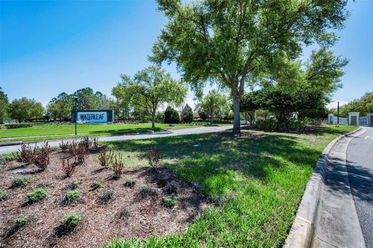 11978 Climbing Fern Avenue, Riverview, FL 33579 Photo