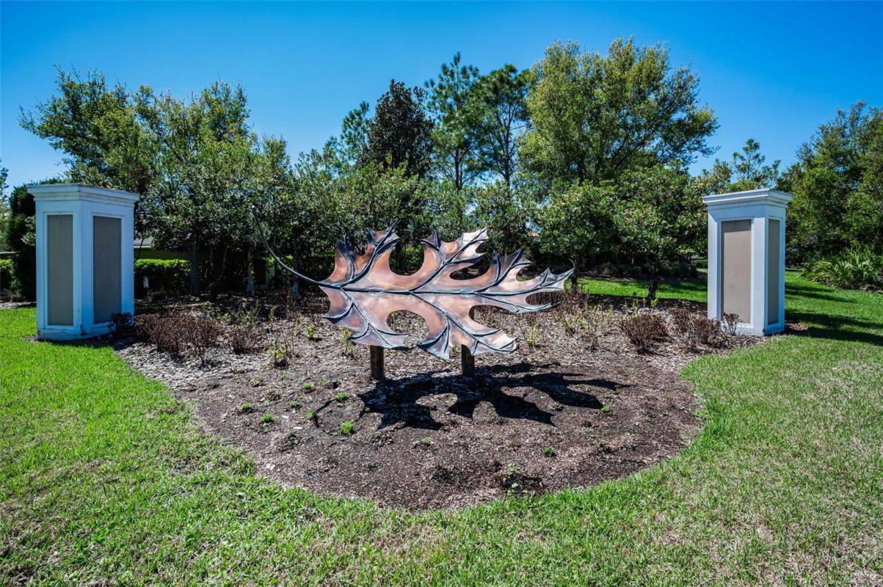 11978 Climbing Fern Avenue, Riverview, FL 33579 Photo