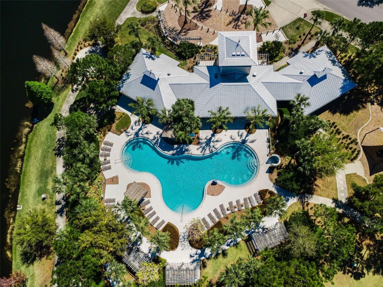 11978 Climbing Fern Avenue, Riverview, FL 33579 Photo