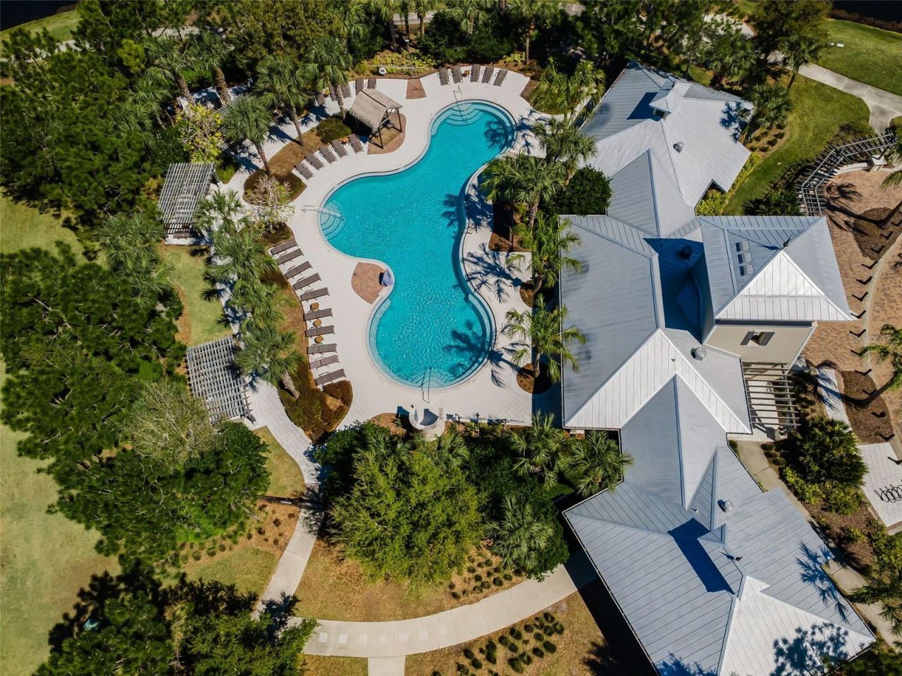 11978 Climbing Fern Avenue, Riverview, FL 33579 Photo