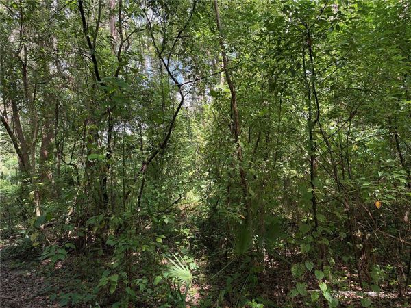 0 SE  118TH PLACE , BELLEVIEW, FL 34420