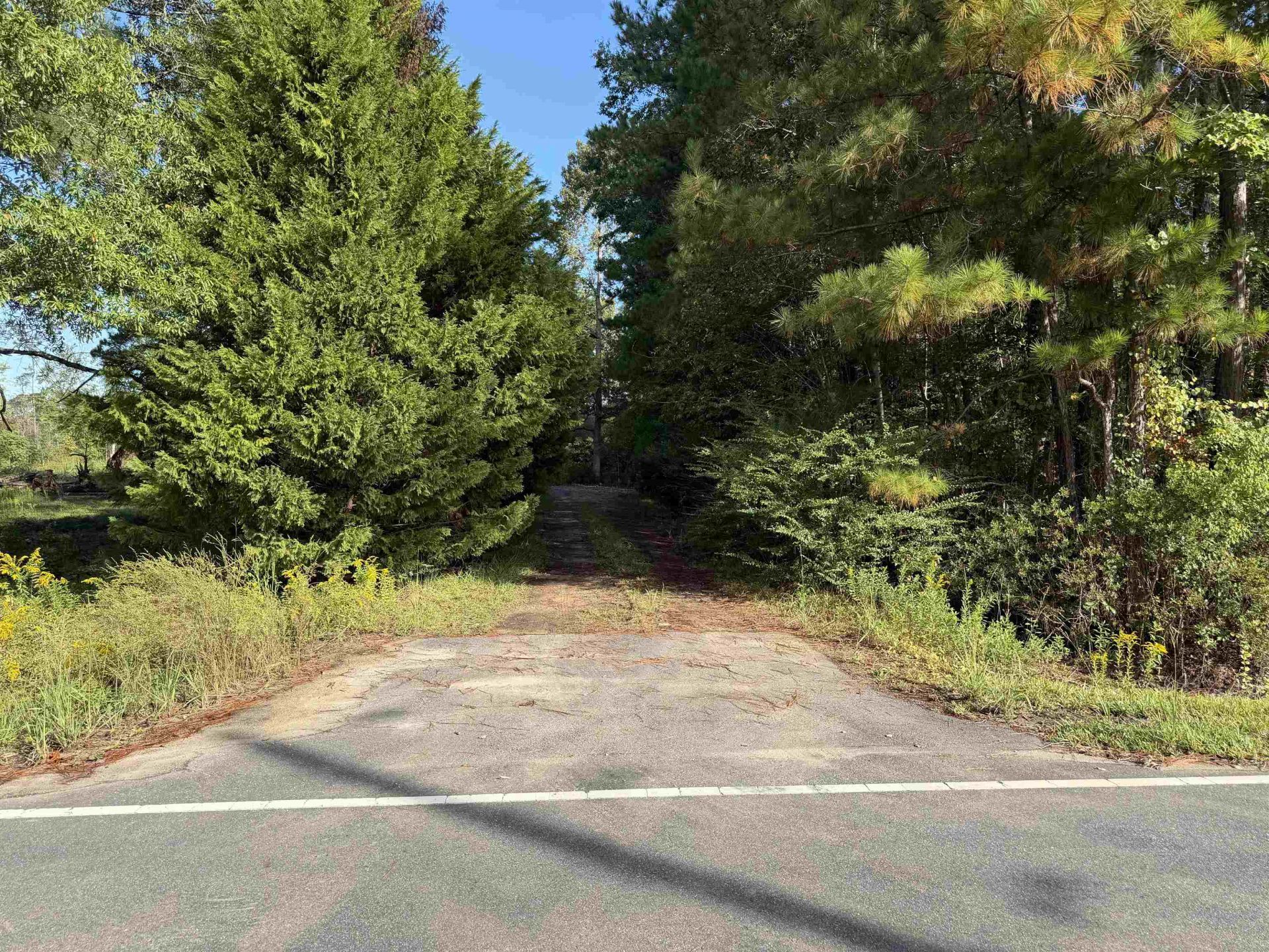 Tract 4 Wise Rd., Conway, SC 29526 Main Photo