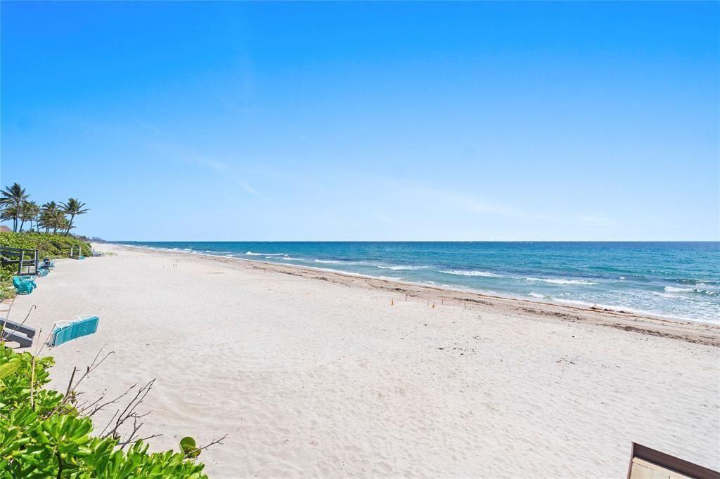 1161 Hillsboro Mile, Unit 305, Hillsboro Beach, FL 33062 Photo