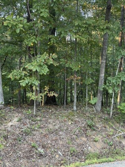0 Woodland Way, Lot #54, Estill Springs, TN 37330 Main Photo