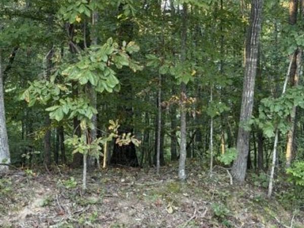 0 Woodland Way, Unit 54, Estill Springs, TN 37330