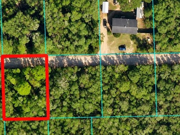 NE 233 LN , FORT MC COY, FL 32134
