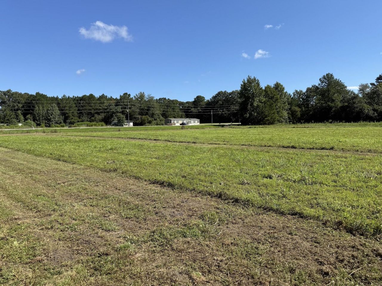 15860 Ace Basin (lot #1) Parkway Photo 4