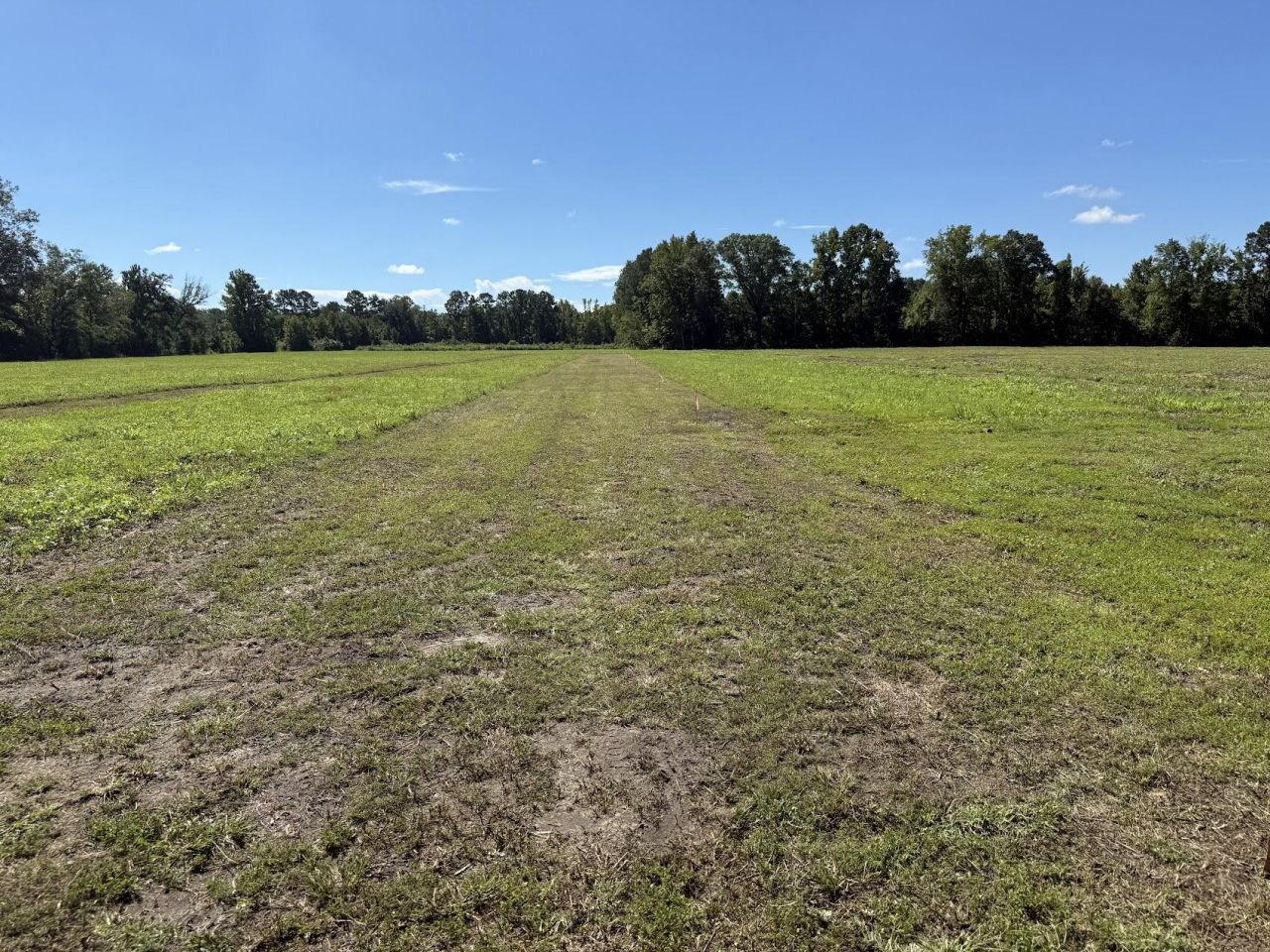 15860 Ace Basin (lot #1) Parkway Photo 5