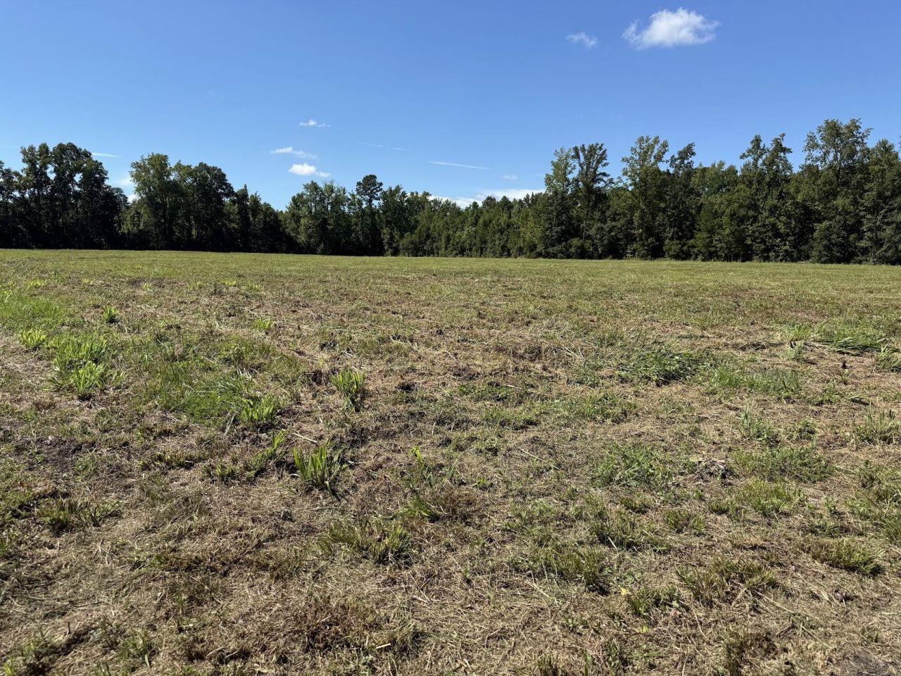 15860 Ace Basin (lot #1) Parkway Photo 6