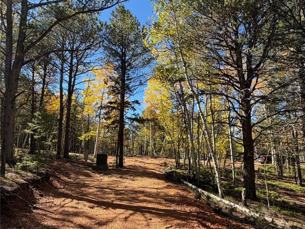 800 Timber Ridge Road, Divide, CO 80814