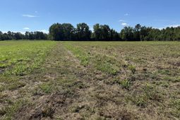 15828 Ace Basin (lot#2) Parkway photo 4