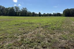 15828 Ace Basin (lot#2) Parkway photo 4