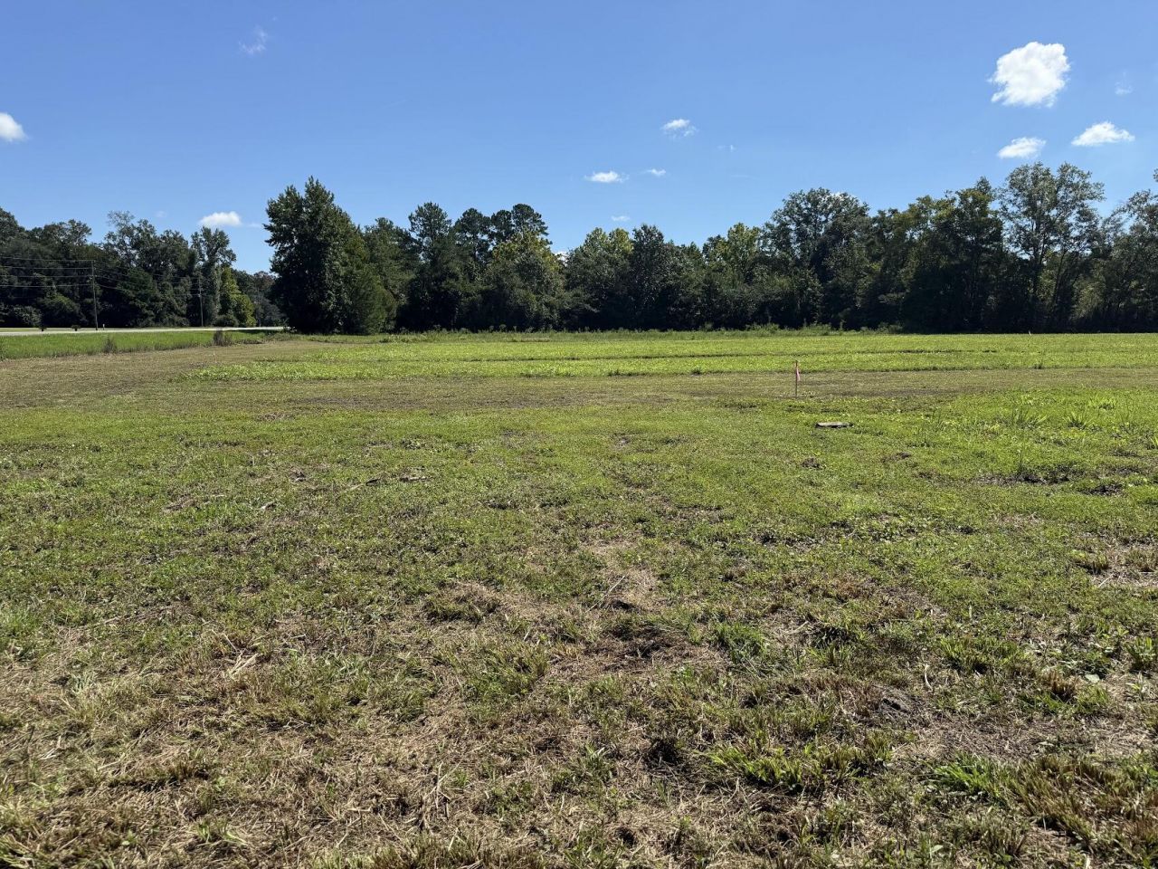 15828 Ace Basin (lot#2) Parkway Photo 6