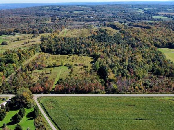 Flucker Hill Road , Forestville, NY 14138