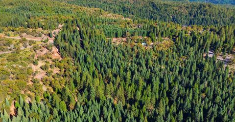 39445 Kearsarge Mill Rd, Alta, CA 95701 Photo