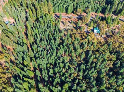39445 Kearsarge Mill Rd, Alta, CA 95701 Photo