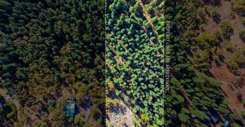 39445 Kearsarge Mill Rd, Alta, CA 95701 Photo