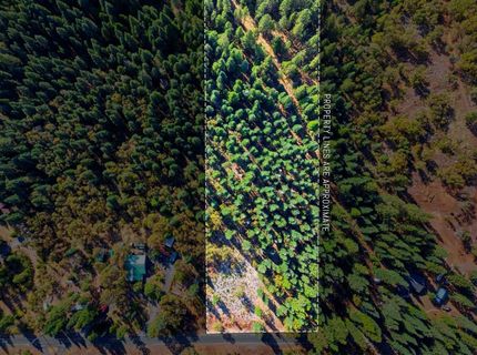 39445 Kearsarge Mill Rd, Alta, CA 95701 Photo