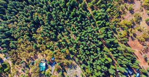 39445 Kearsarge Mill Rd, Alta, CA 95701 Photo