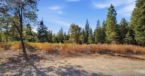 39445 Kearsarge Mill Rd, Alta, CA 95701 Photo