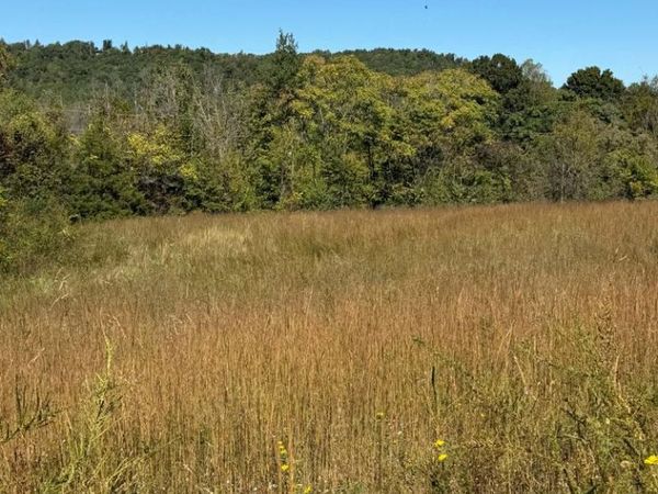 11.7 ac Byrdstown Hwy, Livingston, TN 38570