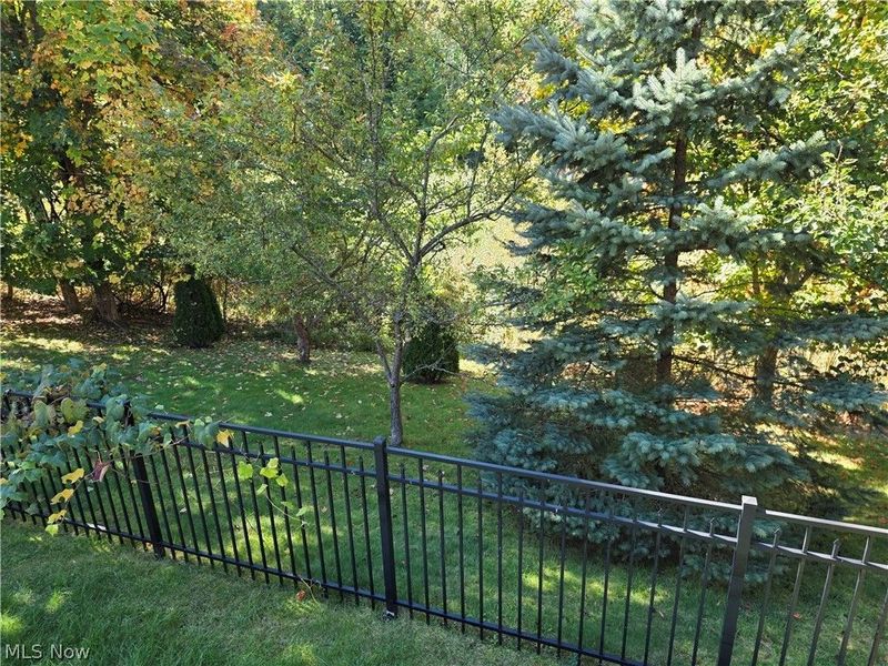 9286 Forest Point Drive, Macedonia, OH 44056 Photo 41