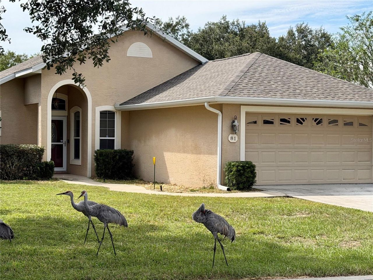 81 Golfview Circle , Umatilla, FL 32784 Photo
