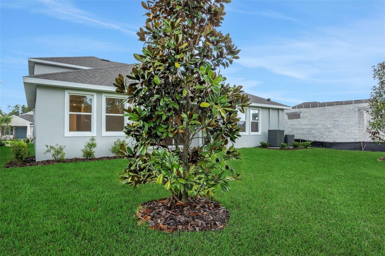 17572 Valleywood Parkway , Land O Lakes, FL 34638 Photo