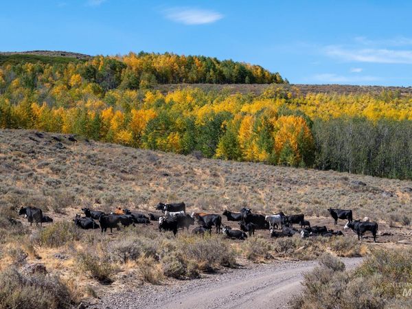 Approx. 300 Antelope Springs Rd., Rogerson, ID 83302