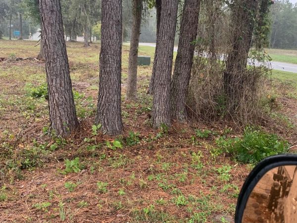 LT 30 NW STAR LAKE SYLVI DR, Lake City, FL 32055